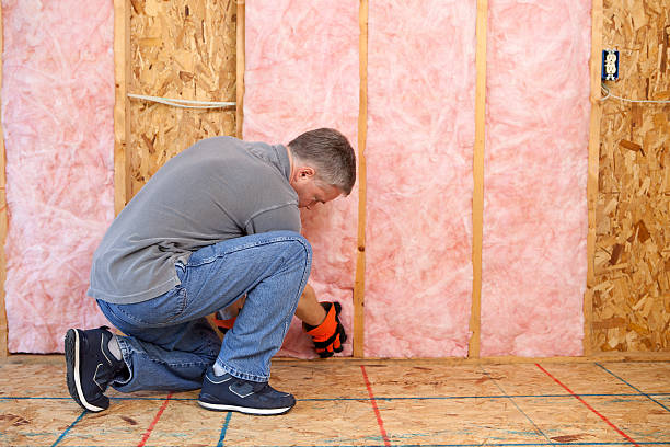 Best Commercial Insulation in Walhalla, SC