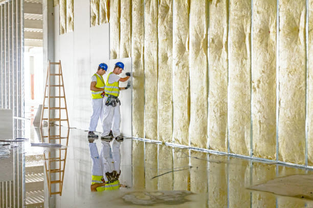 Best Geographic-Specific Insulation Services in Walhalla, SC